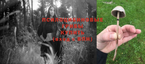 мяу мяу мука Волоколамск