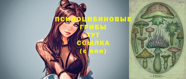 мдма Горнозаводск